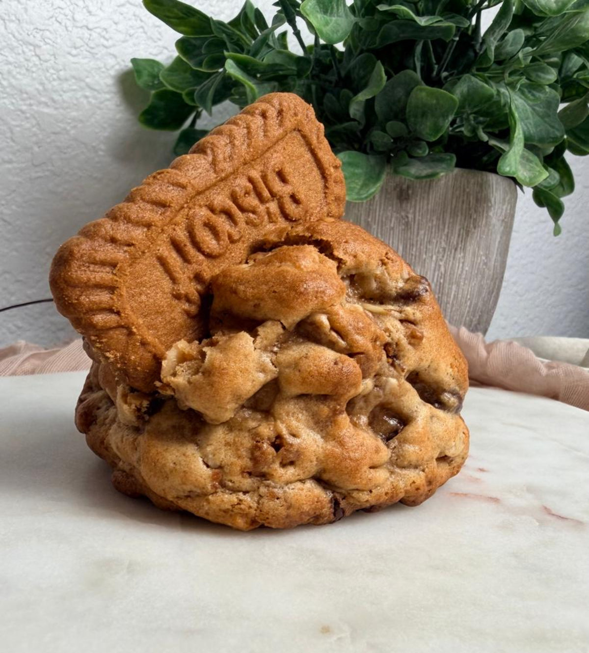 Biscoff Sensation